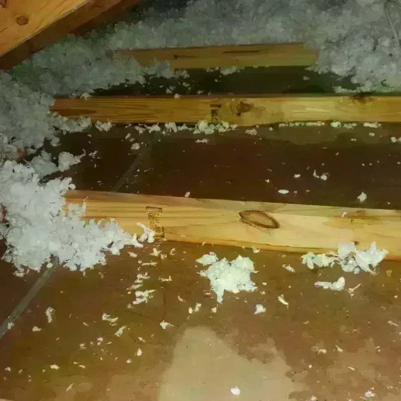 Attic Water Damage in Juneau, AK