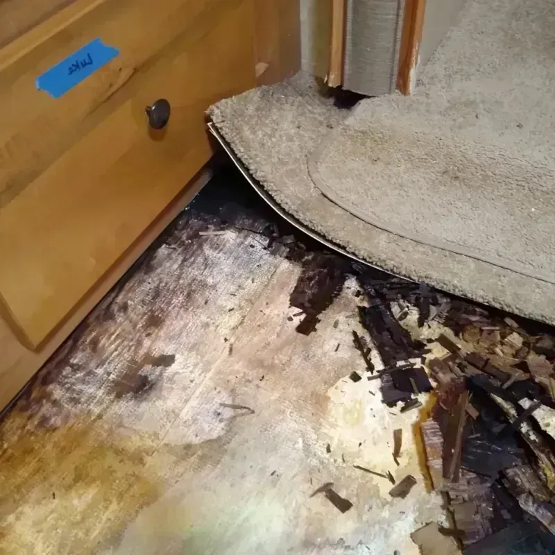 Wood Floor Water Damage in Juneau, AK